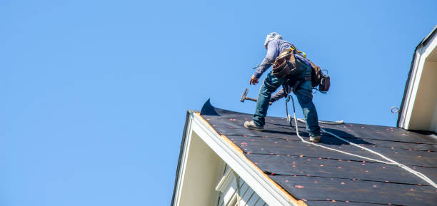 Best Metal Roofing Contractor  in Jefferson City, TN
